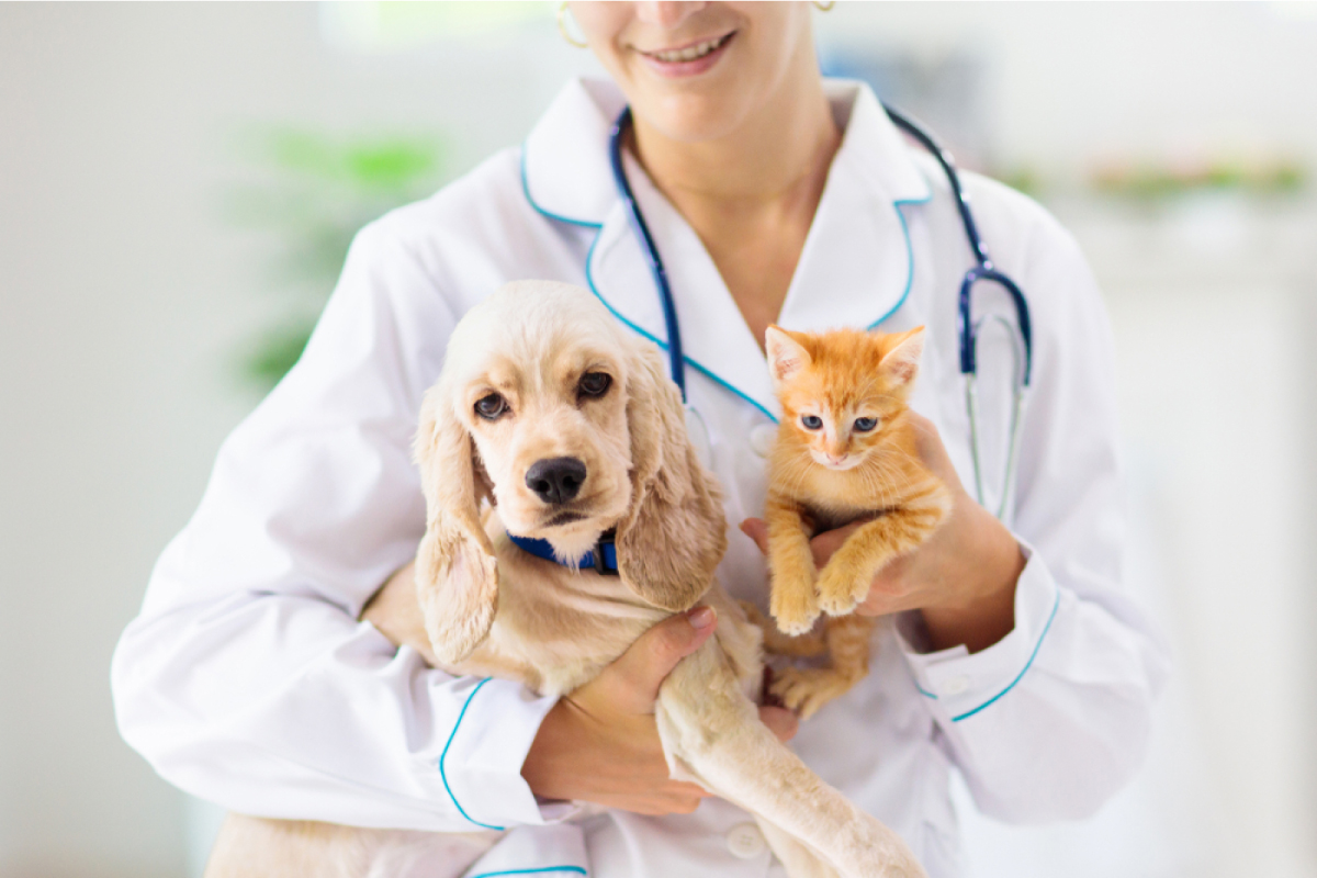 Auxiliar de Veterinaria